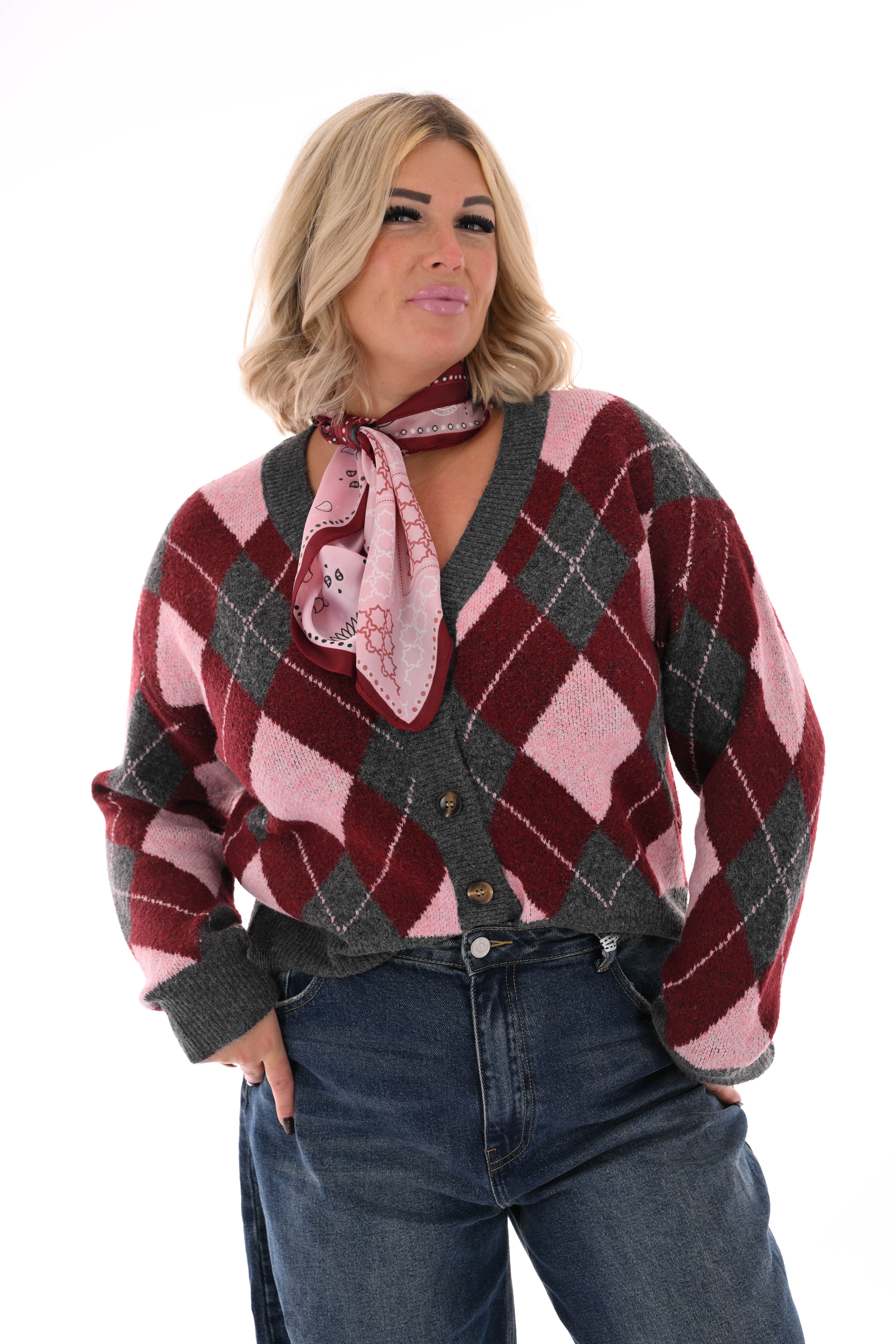 Vest ruitpatroon v-hals bordeaux