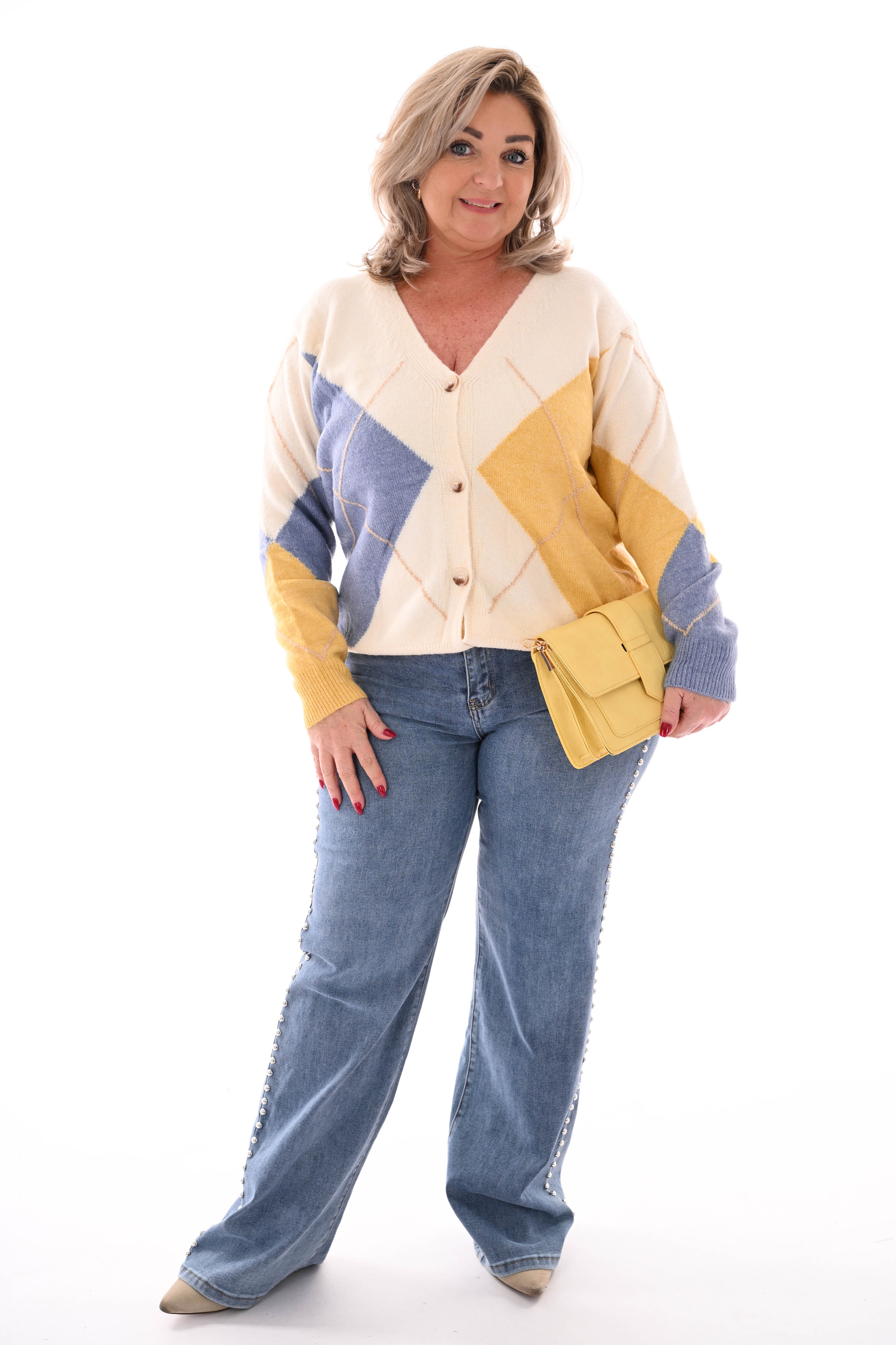 Fijn gebreid vest ruit v-hals blauw