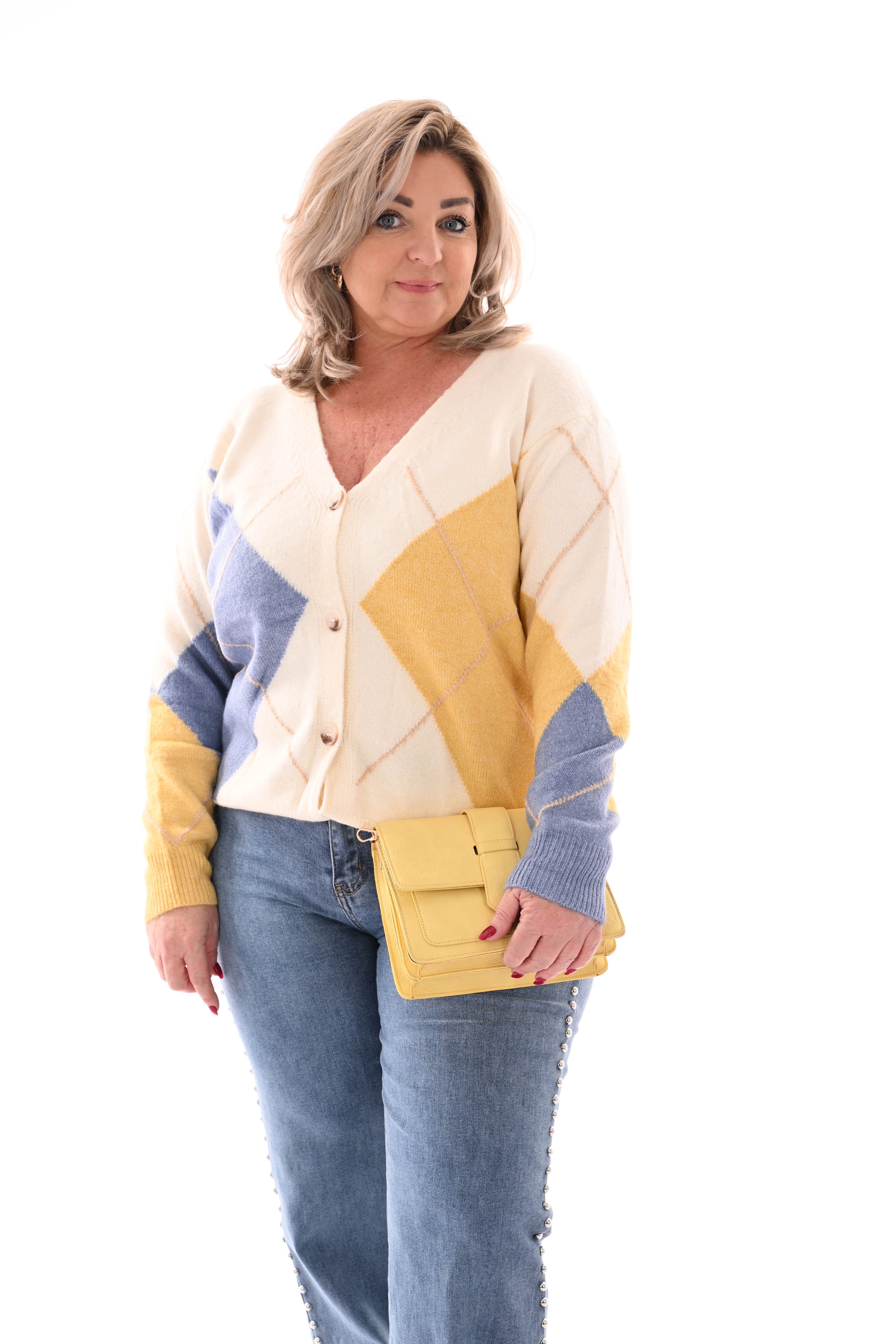 Fijn gebreid vest ruit v-hals blauw