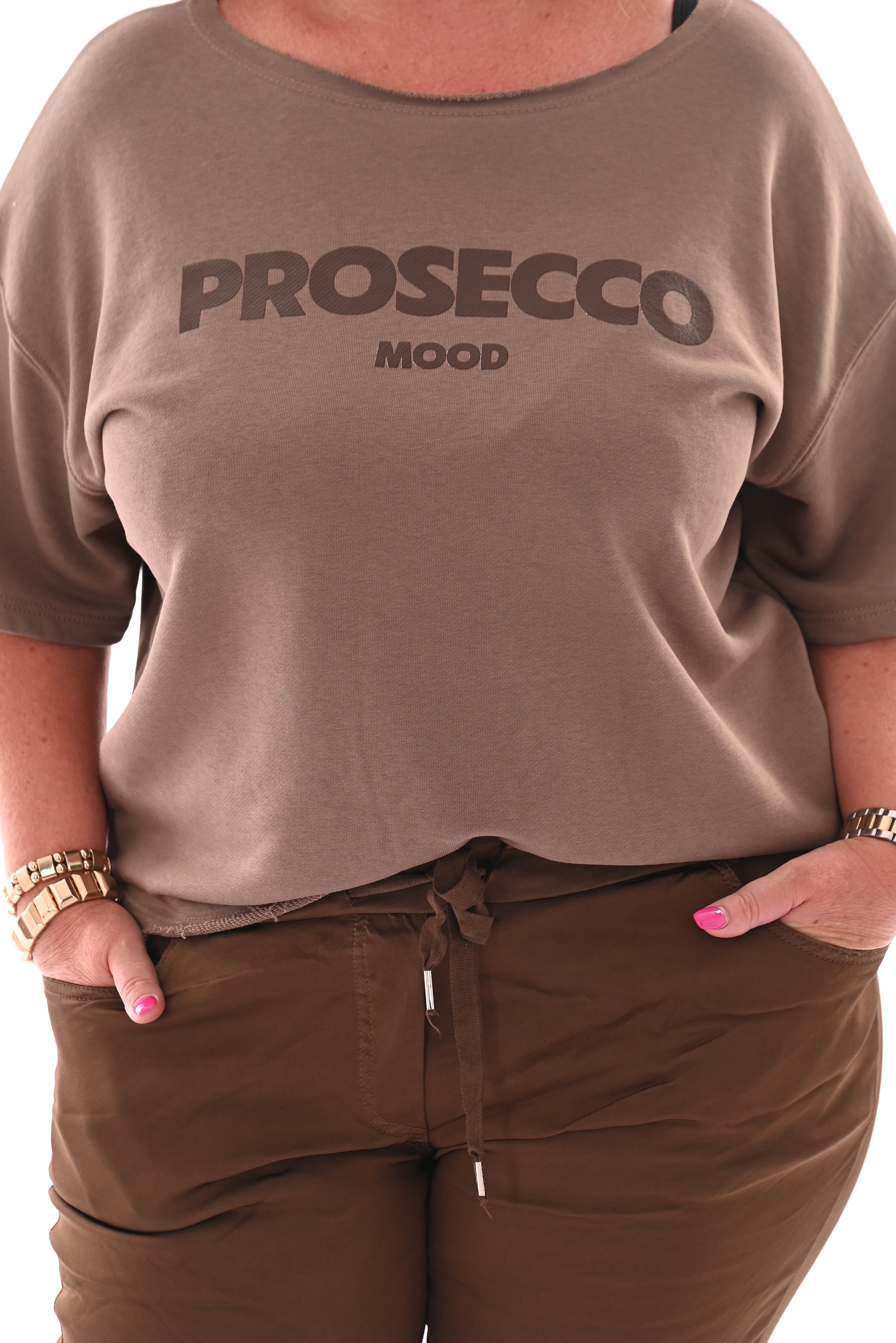 Sweater korte mouwen prosecco mood taupe