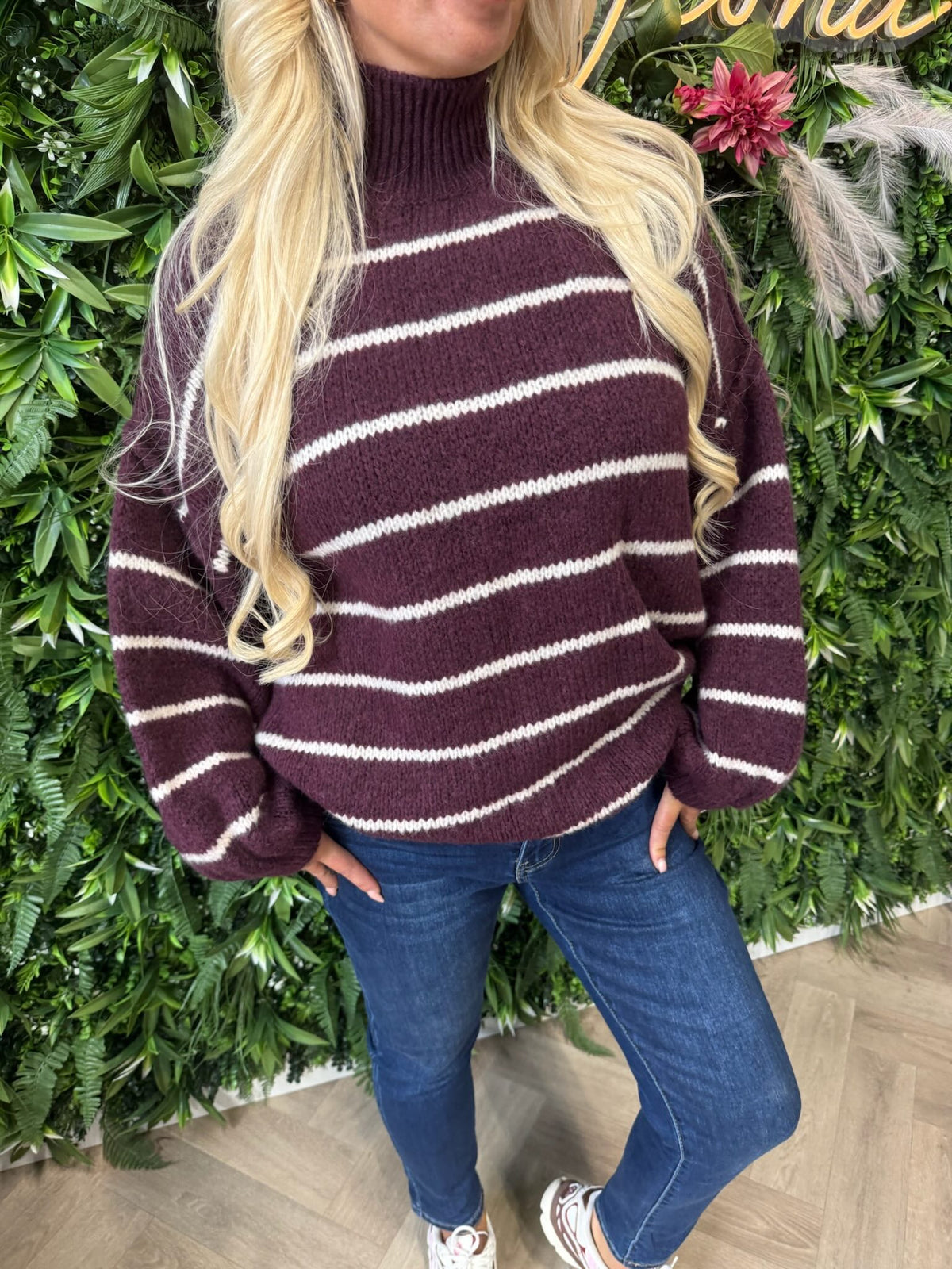 Gebreide trui turtle neck streepjes aubergine