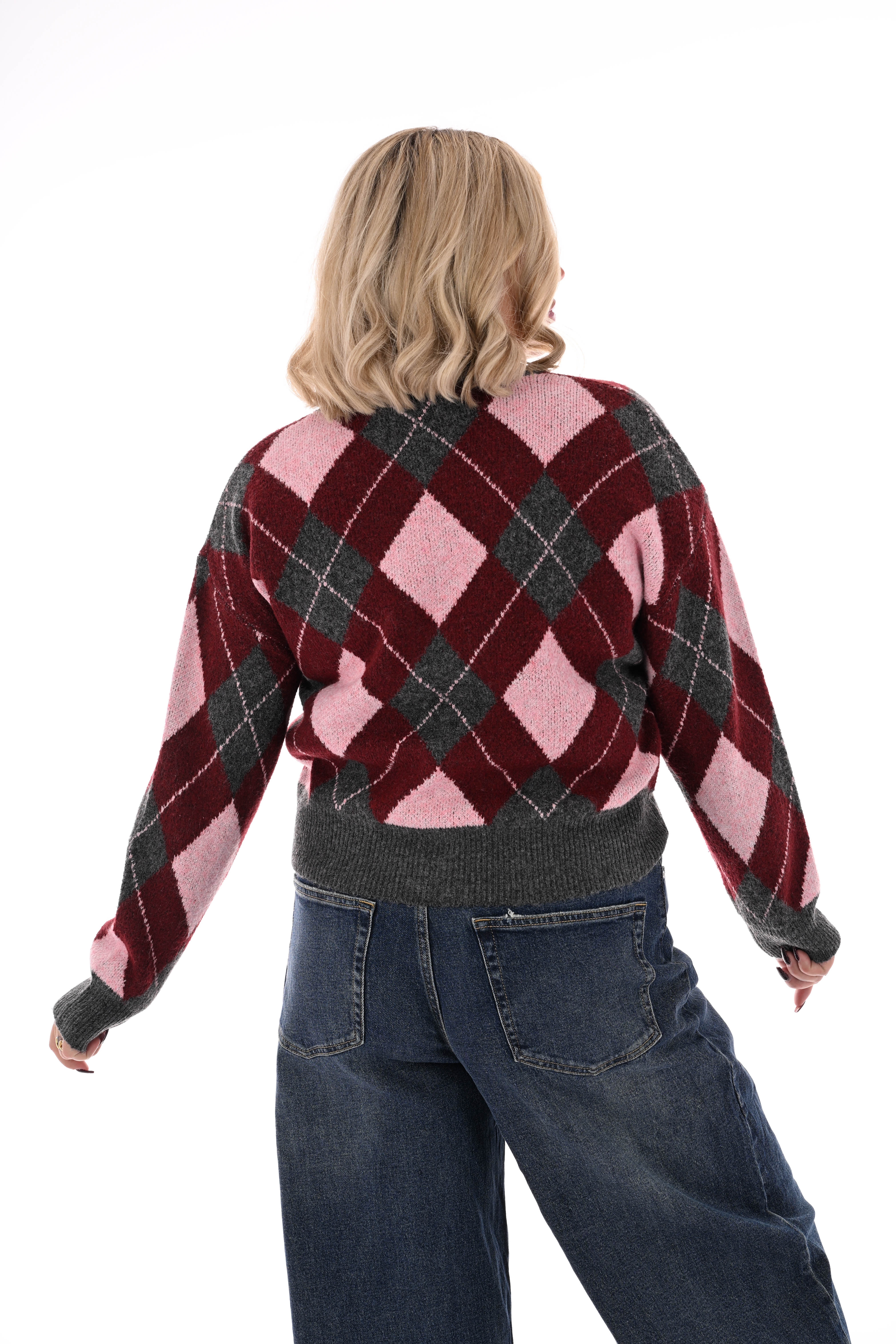 Vest ruitpatroon v-hals bordeaux