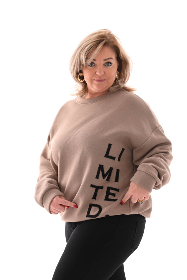 Sweater Limited taupe