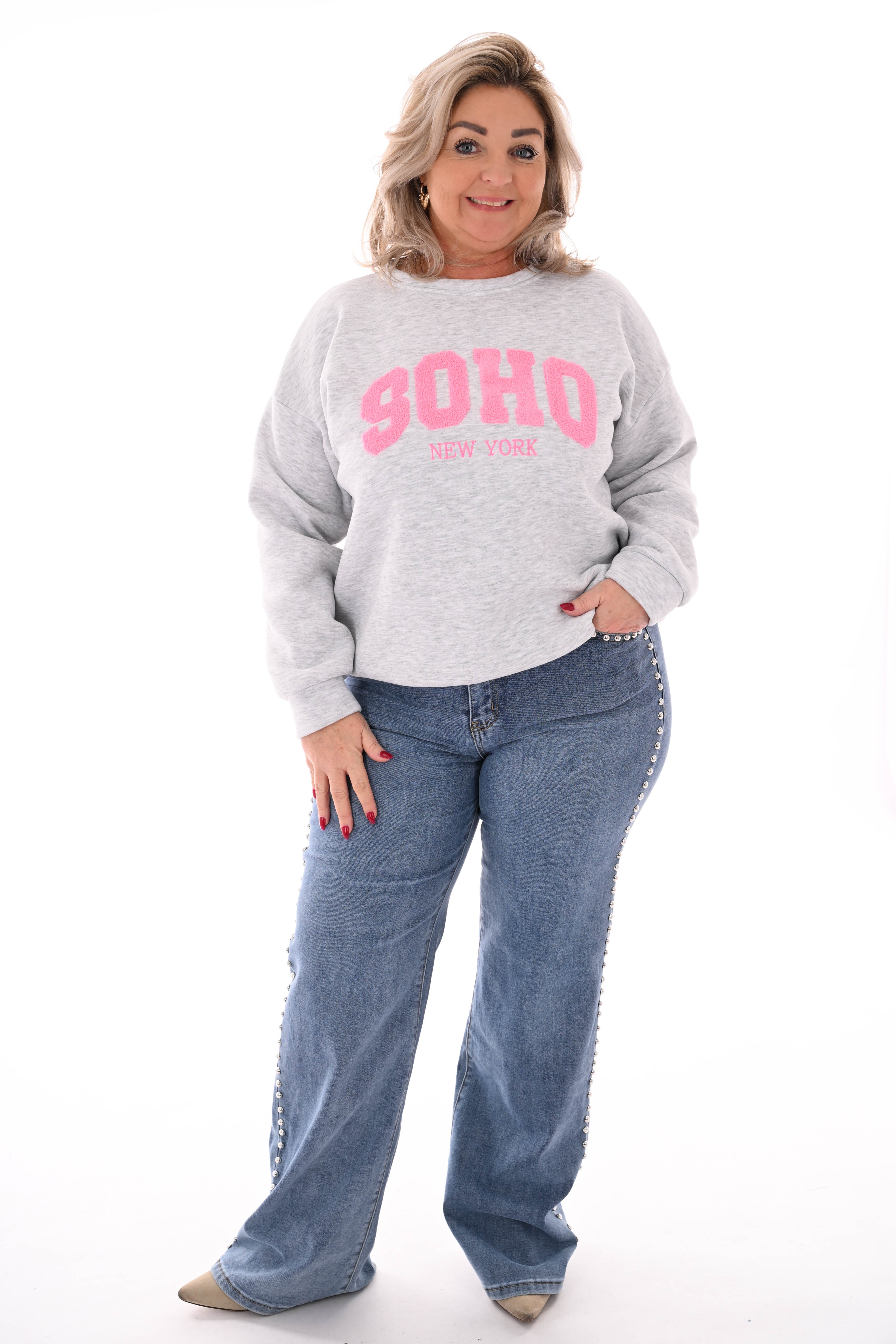 Sweater trui soho uni lichtgrijs