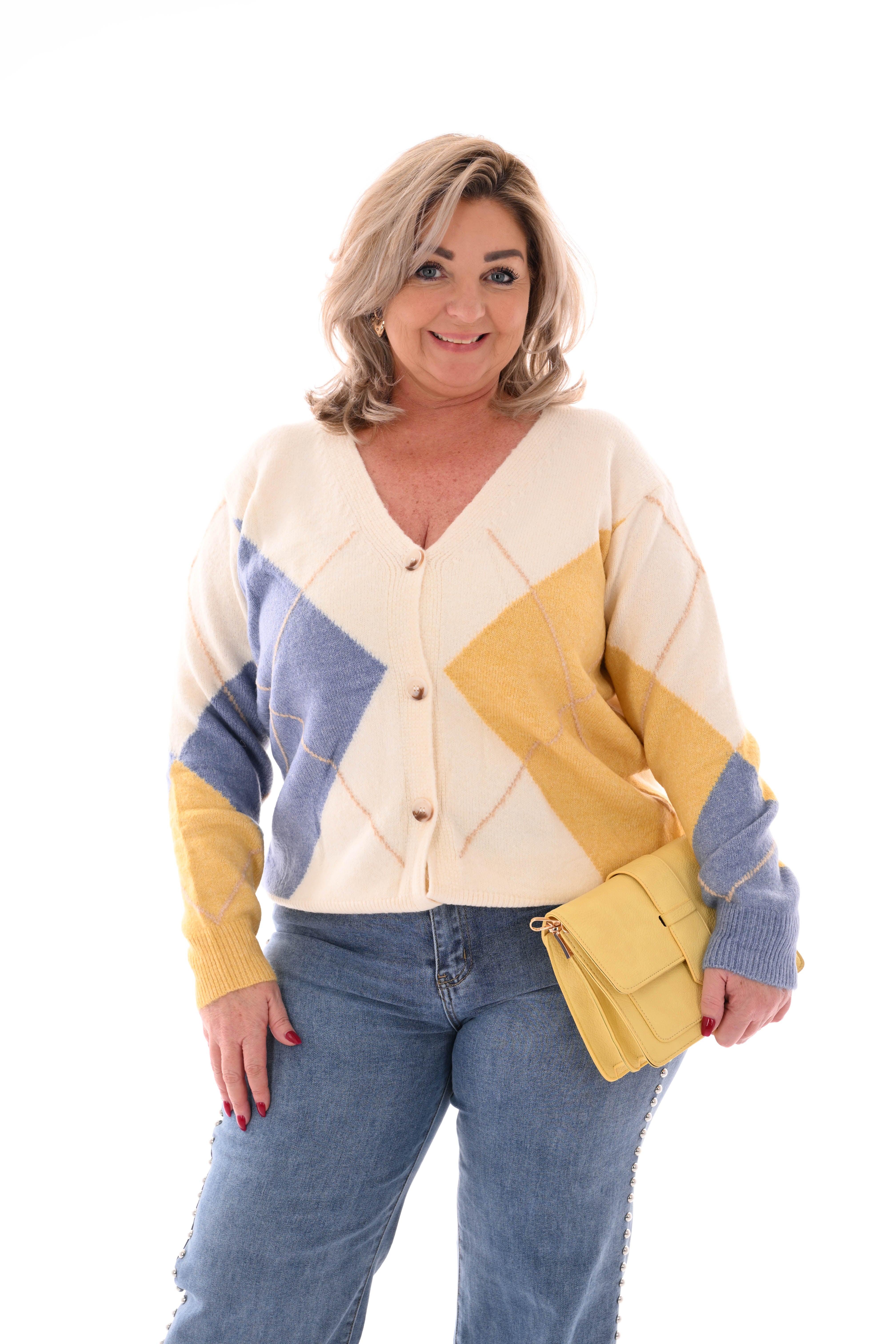 Fijn gebreid vest ruit v-hals blauw