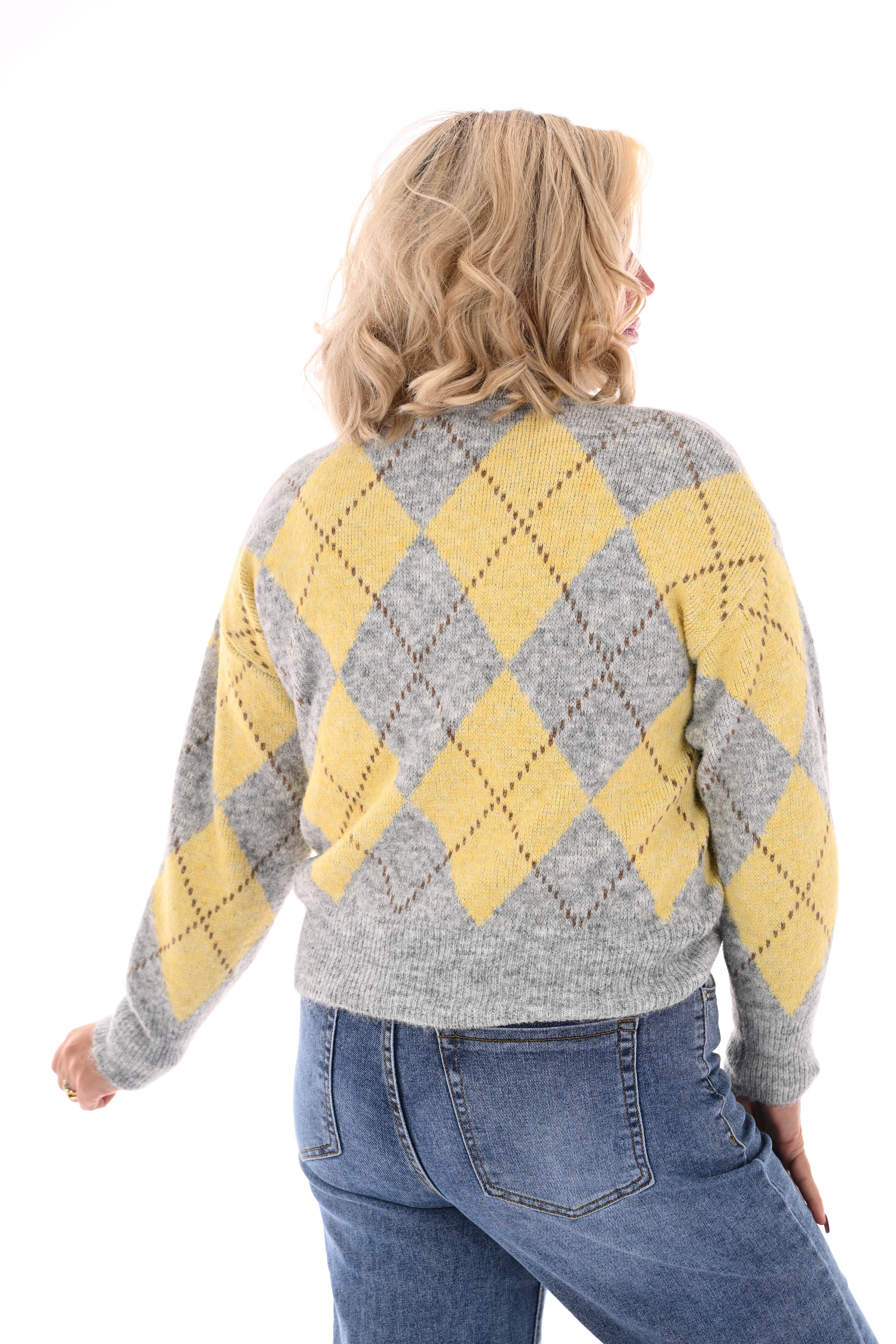 Trui ruiten met kraag grijs