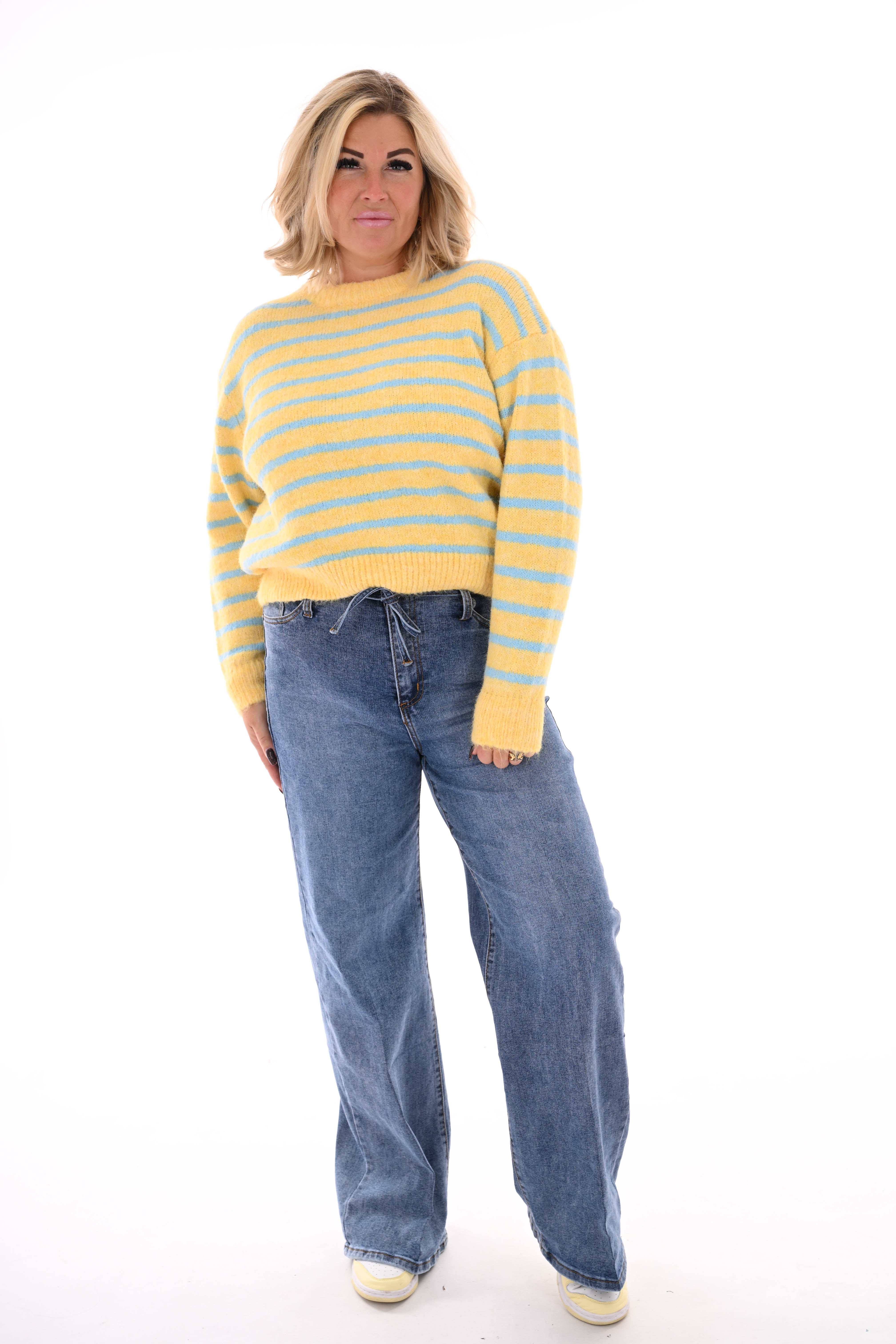 Fijn gebreide trui met strepen ronde hals geel