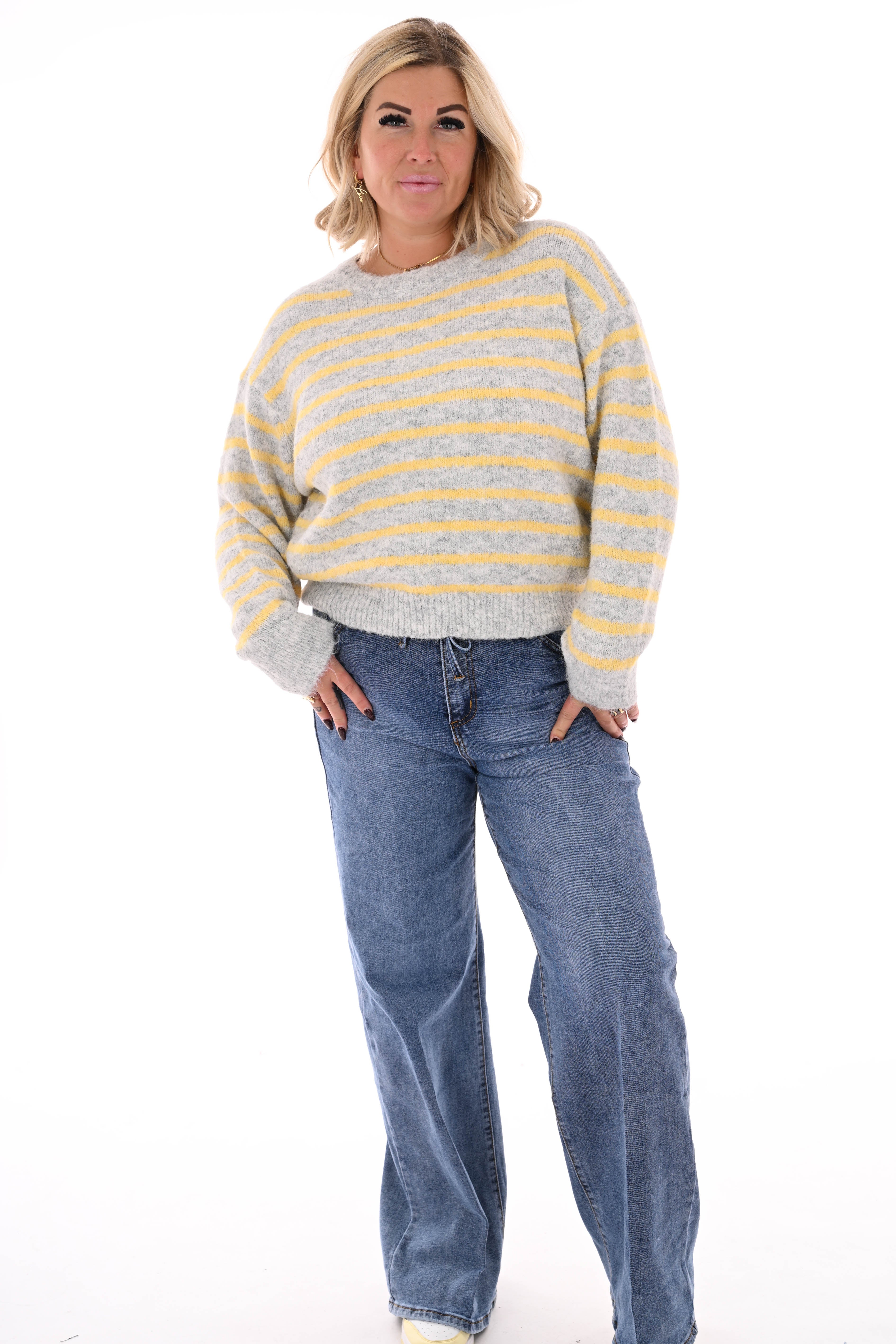 Fijn gebreide trui met strepen ronde hals grijs