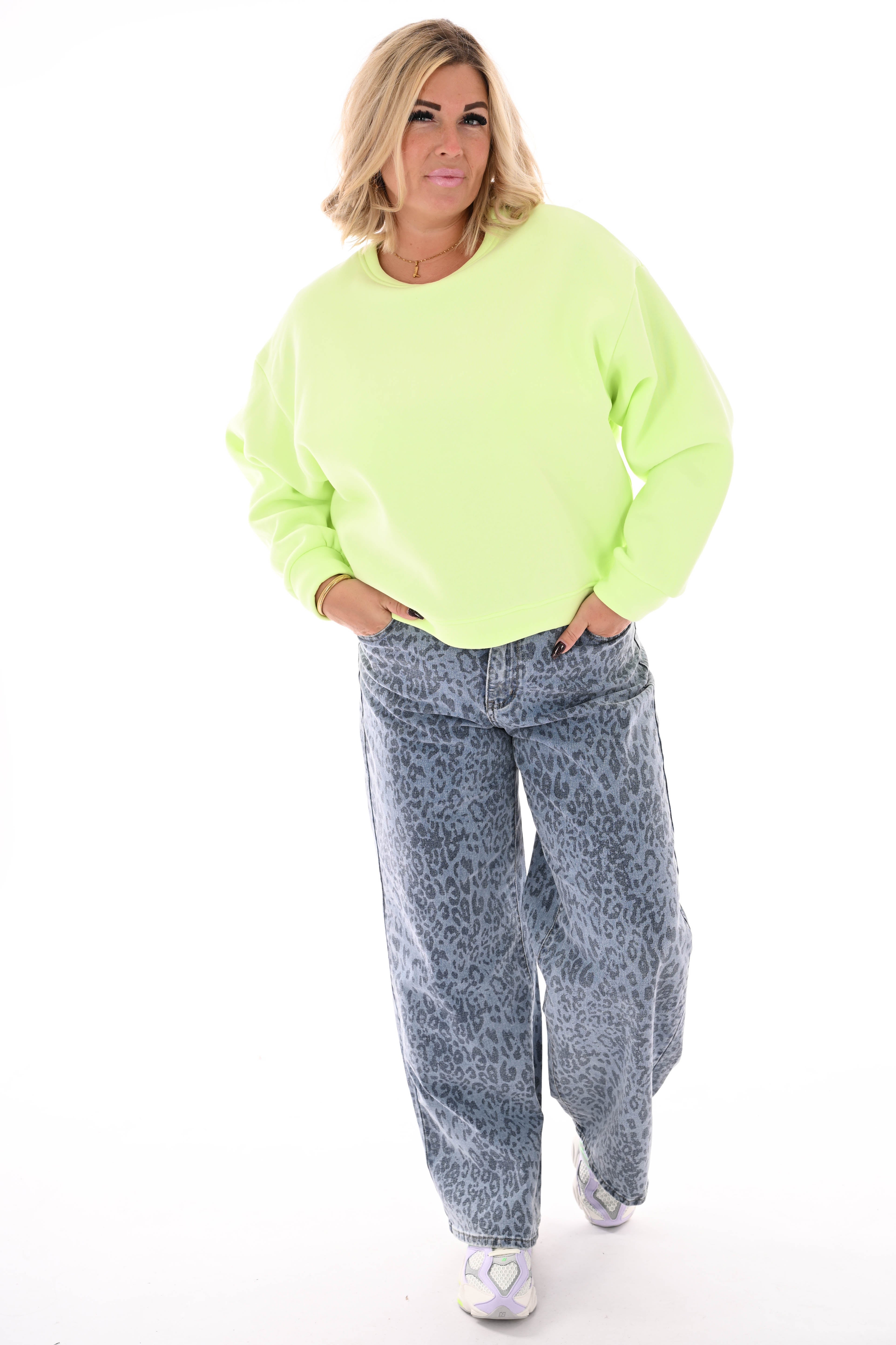 Sweater Le Marais uni lime