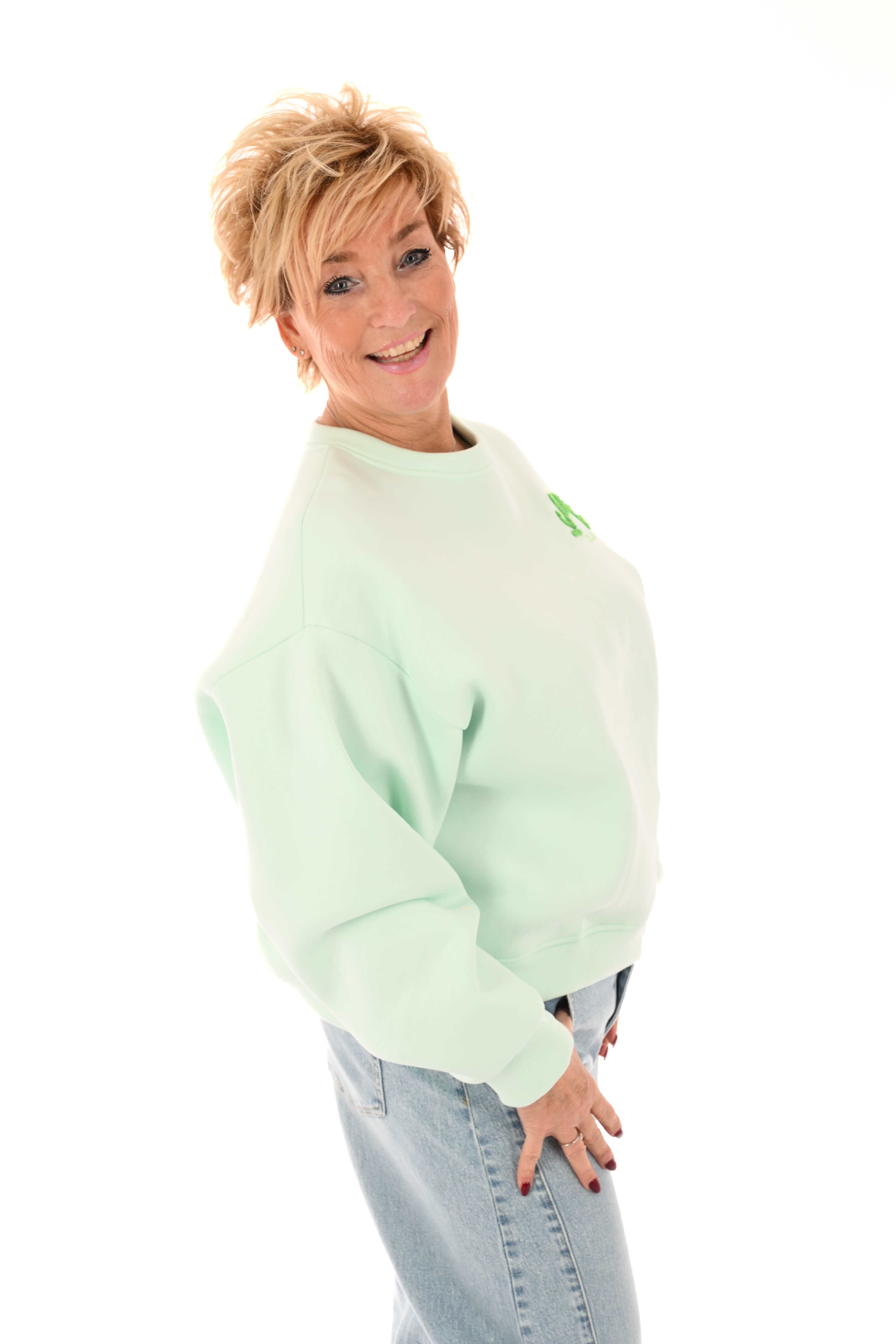 Sweater iconic club mintgroen