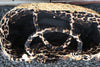 Strandtas met roos leopard