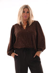 Top lange mouwen v-hals glitter bruin